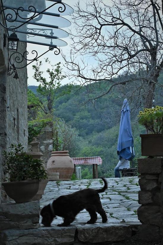 Agriturismo Casamatta Azienda Agricola Calenzano Buitenkant foto